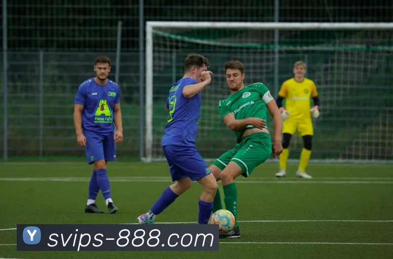 888体育官网APP 体育赛事宣传图